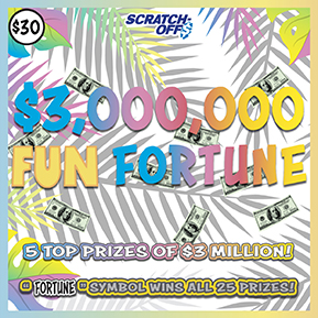 $3,000,000 Fun Fortune